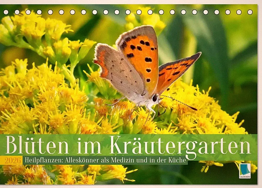 Blüten im Kräutergarten (Tischkalender 2026 DIN A5 quer), CALVENDO...