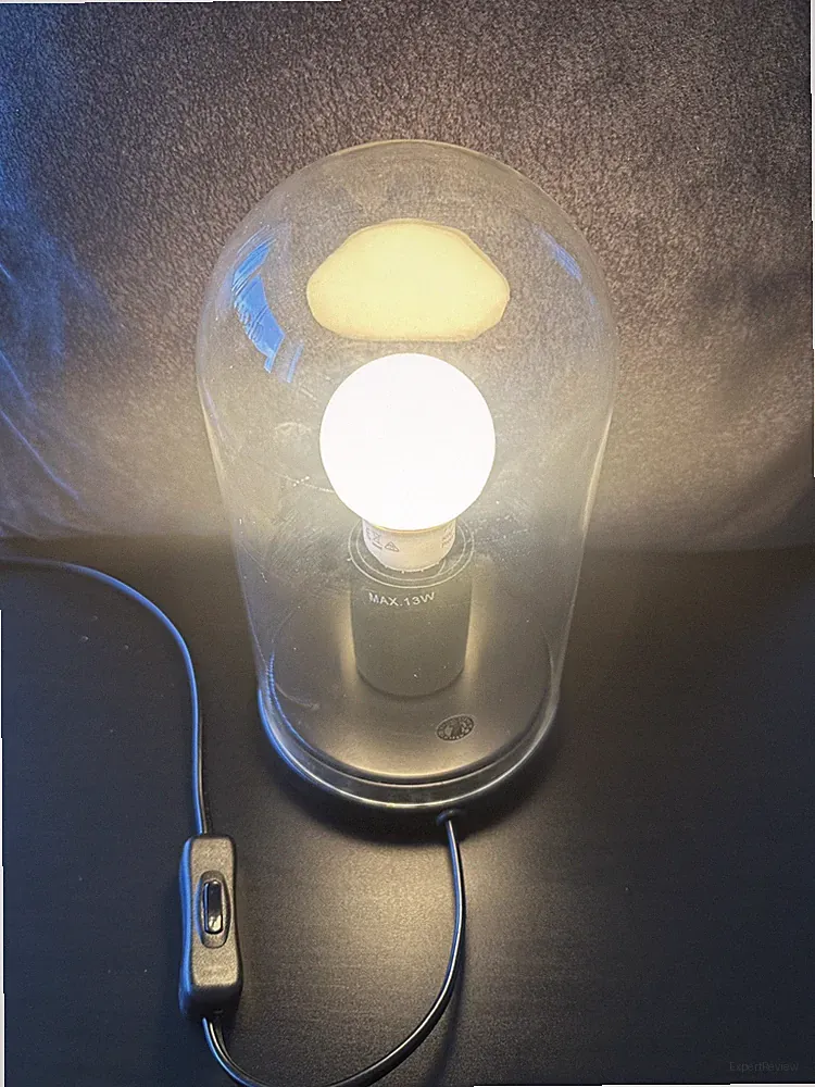 Glaskuppel Industrie Stil Schreibtisch Tisch Lampe klarer Schirm schwarzer Fuß