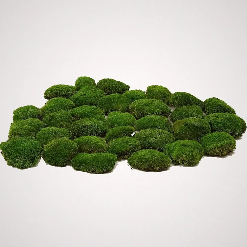 Konserviertes Moos 1,5 qm Terrarien Wanddeko Pflanzen Decor naturgrün Gärten