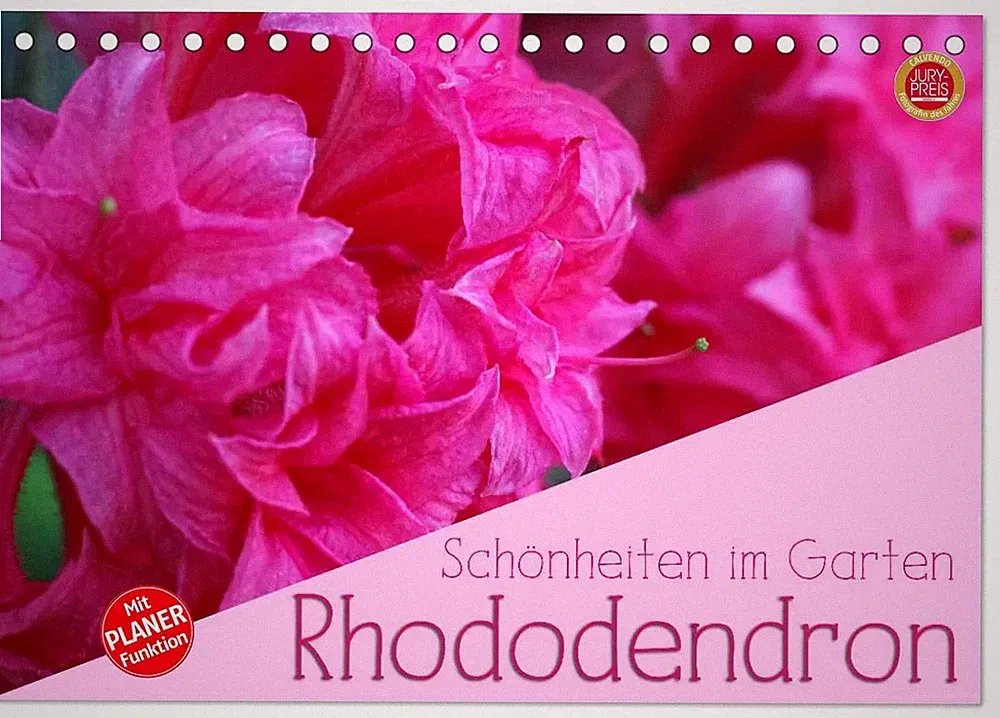 Rhododendron Schönheiten im Garten (Tischkalender 2026 DIN A5 quer), CALVENDO...