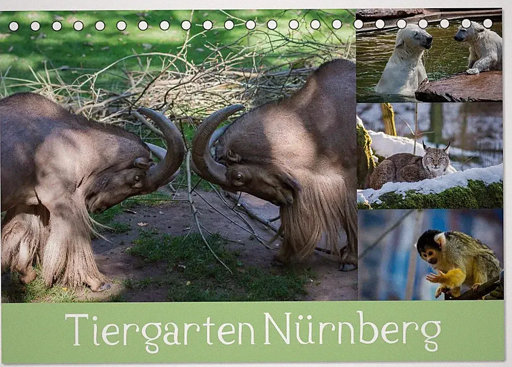 Tiergarten Nürnberg (Tischkalender 2026 DIN A5 quer), CALVENDO Monatskalender